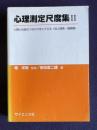 心理測定尺度集 II　人間と社会のつながりをとらえる<対人関係・価値観>