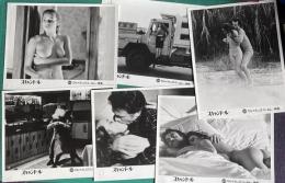 スキャンドール／禁じられた体験 LA CICALA （映画スチール）　6枚