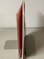 絶えざる御助けの聖母