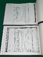 九葉実録補欠草稿　コピー製本　【自嘉永５年閏二月 至安政四年四月】【自安政四年五月 至安政六年十二月　自万延元年正月 至文久三年十二月】　２冊セット