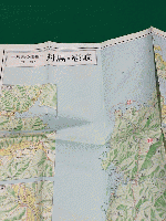 対馬の生物