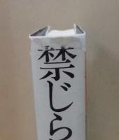 禁じられた青春