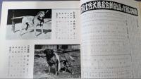 全国土佐犬写真大観