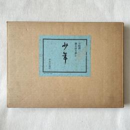 少年