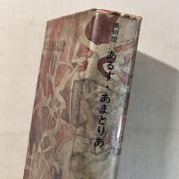 美術版 あるす・あまとりあ 性行態位52型の分析・性愛雰囲気86法の分析