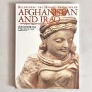 流出文化財を守れ アフガニスタンそしてイラク 平山郁夫からアピール