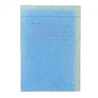 酔いどれ船【純文学書下ろし特別作品】