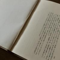我が愛する詩人の傳記