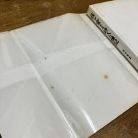 我が愛する詩人の傳記