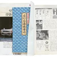 別冊太陽 太陽コレクション 日本百景と土産品 江戸明治 3 名山・名湯