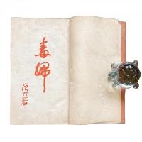 浪六全集第16編 毒婦