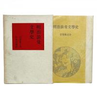 明治浪漫文学史