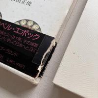 愚者の楽園 人魚・魔王・そして英語再入門