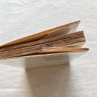 鴎外の子供たち あとに残されたものの記録