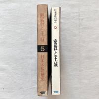 日本文化の歴史5 密教と王城