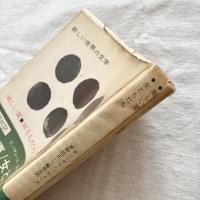 新しい世界の文学 美しい夏 女ともだち
