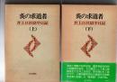 炎の求道者　井上日召獄中日記　上、下
