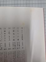 中原淳一人形集　すぐ出来るぬいぐるみ
