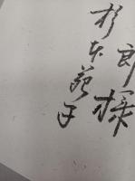 杉本苑子全集 全22巻揃　　　　　　　