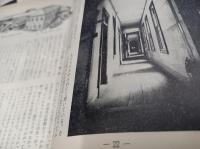 上野丘　(復刊第三号　)　特集・さらば旧本館よ