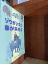 ゾウがいた！象が来た？