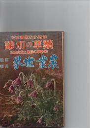 栽培から販売まで薬草の知識(附)　薬草の採集と家庭療法　農業世界5月増刊号　