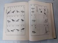 本草綱目 校点本 上下冊 精装　　　