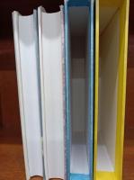 そのばしのぎの犯罪