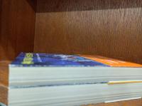 神の目の小さな塵　上・下　(創元推理文庫)　