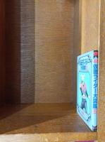 仮面ライダー大図鑑