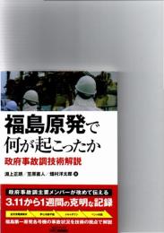 福島原発で何が起こったか : 政府事故調技術解説　