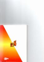 わたしのシーサーあなたのシーサー　沖縄獅子の魅力集