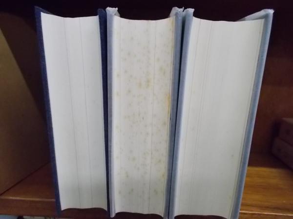 大分市史 上、中、下 大分市史 上・中・下 （3冊揃い） (大分市史編さん委員会 編
