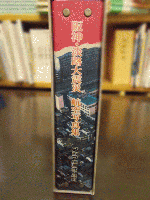 阪神・淡路大震災　航空写真集　　　　　　　　　