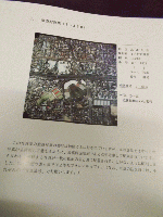 阪神・淡路大震災　航空写真集　　　　　　　　　