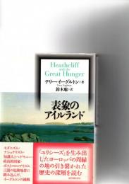 表象のアイルランド　　