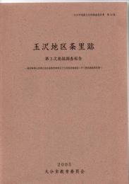 玉沢地区条里跡 第3次発掘調査報告書　－稙田新都心西部土地区画整理事業及び大規模店舗建設に伴う発掘調査報告書－　(大分市埋蔵文化財調査報告書　第59集)
