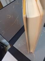 生野祥雲斎竹芸作品集　