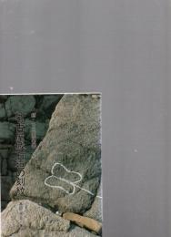 名古屋城石垣の刻紋　(続・名古屋城叢書　2)