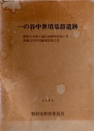 『一の谷中世墳墓群遺跡』 5冊揃い（本文・図版・付図・観察表・写真図版） 磐田市水堀土地区画整理事業に伴う埋蔵文化財発掘調査報告書