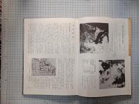 戦火で消えた大分市中心部　復元絵図　　
