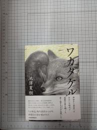 ワカタケル