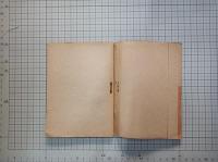 蘇鉄　(新日本歌集)