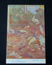 胡桃沢源一　鳥禽舎　第5回文部省美術展覧会（絵葉書）1枚