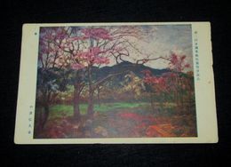 中澤弘光　春　帝國美術院第2回美術展覧会（絵葉書）1枚