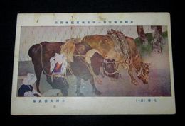 小林大雲　佐登其1　帝國美術院第1回美術展覧会（絵葉書）1枚
