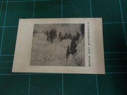 山内多門　天龍四季　帝國美術院第一回美術展覧会（絵葉書）1枚