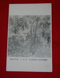 奥村木巣　実南天　帝國美術院第5回美術展覧会（絵葉書）1枚