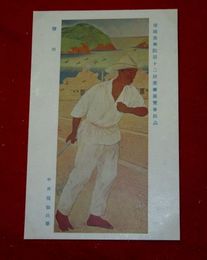 平井楳仙　塩田　帝國美術院第12回美術展覧会（絵葉書）1枚