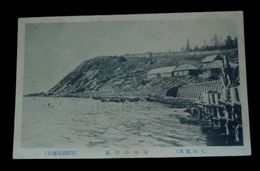樺太　大泊　海岸の群鴎（絵葉書）1枚